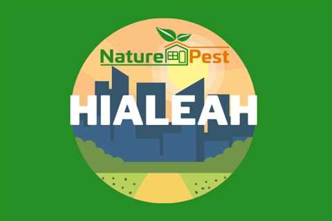 Pest Control Hialeah | NaturePest Holistic Local Pest Control