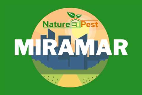 Pest Control Miramar FL | NaturePest Holistic Local Pest Control