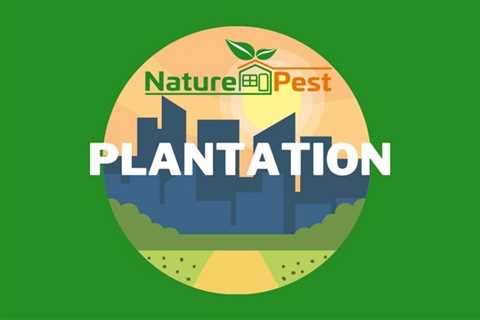 Pest Control Plantation Fl | NaturePest Holistic Local Pest Control