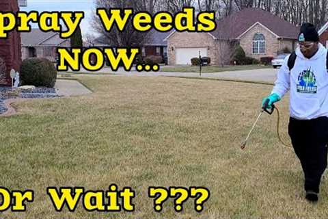 When to start SPRAYING Weeds in the SPRING