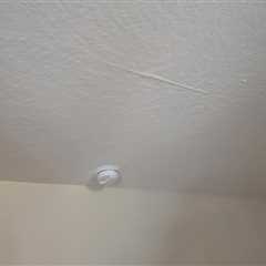 Standard post published to CSL Water Damage Restoration at March 13, 2024 16:01