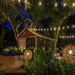Tree Lighting Magic: Enhancing Tree Maintenance With Landscape Lighting In Austin