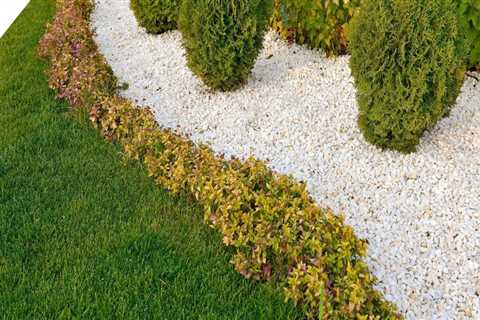 Eco-Friendly Landscaping Solutions in Harris County, Texas