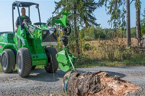 Uncovering The Importance Of Arborist Services In Land Clearing Projects In Martinsburg, WV