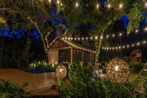 Tree Lighting Magic: Enhancing Tree Maintenance With Landscape Lighting In Austin