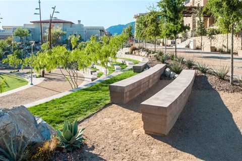 Texas Terrain Transformation: Maximizing Landscape Architect Success With Lawn Services