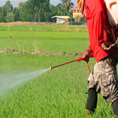 What do you do if you inhale a pesticide?