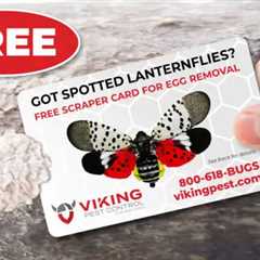Viking Pest Control releases revised SLF egg removal card