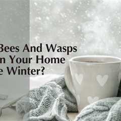 Can Bees And Wasps Get In Your Home In the Winter
