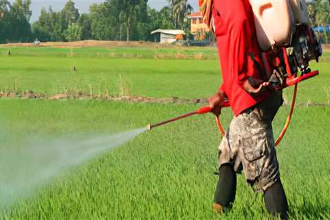 What do you do if you inhale a pesticide?