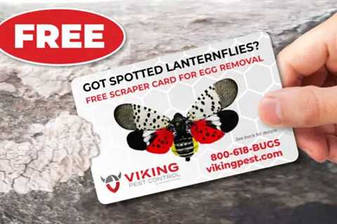 Viking Pest Control releases revised SLF egg removal card