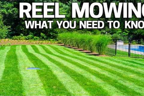 REEL Mowing Right for YOU? Mowing Low / Cylinder Lawn Mowing - How to Get Started