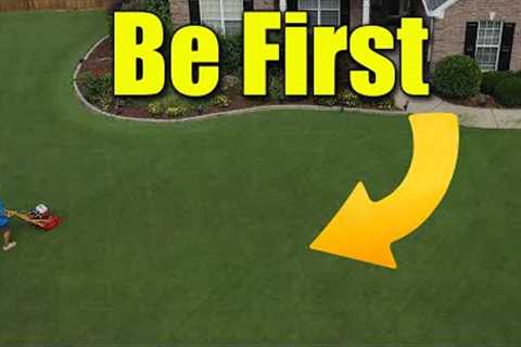 First Spring Lawn Fertilizer - Jump Start Lawn