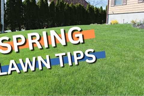 SPRING LAWN TIPS FOR PERECT SUMMER GRASS!! prepare for the that summer stress NOW!!