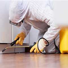 Exploring The Effectiveness Of Organic Pest Control Versus Professional Pest Control Services In..