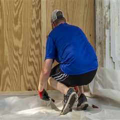 Preserving Pristine Hardwood Flooring: Ohio's Mold Removal Service Guide