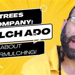 Mulch Ado About Nothing: Prevent Tree Damage with Proper Techniques!