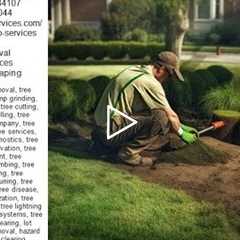 Landscaping Around Tree Stumps - Tree Services - Truco