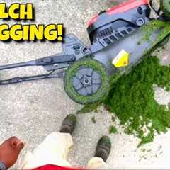 Fixed my customers ugly lawn in one week | KRESS Commercial equipment | Simple Lawn Solutions