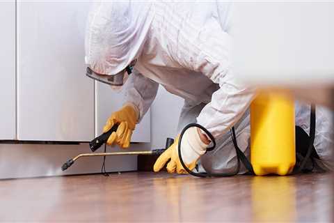 Exploring The Effectiveness Of Organic Pest Control Versus Professional Pest Control Services In..