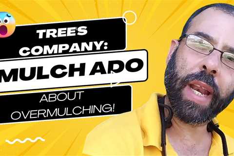 Mulch Ado About Nothing: Prevent Tree Damage with Proper Techniques!