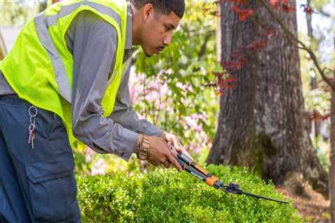 Pruning and Trimming Trees and Shrubs: Essential Tips for Maintaining a Beautiful Landscape