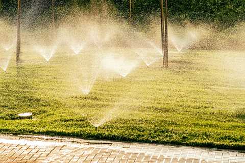 Why Picking The Right Landscape Maintenance Company In Pembroke Pines Is Crucial For Optimal Lawn..