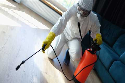 Why Hiring An Ant Exterminator Is Essential Before Constructing A Deck In Calgary?