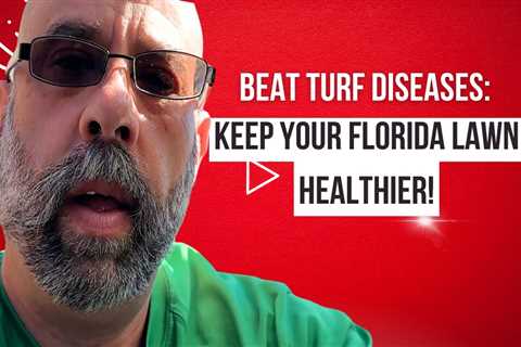 How to Protect Your Lawn from Turf Diseases in Florida