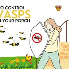 Acton Pest Control: Preventing Wasps From Nesting On Your Porch This Spring