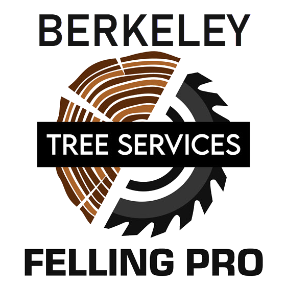 Tree Care - Berkeley Felling Pro