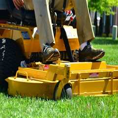 Maintain A Healthy Lawn: The Role Of Professional Mowing Services And Lawn Sprinkler System In..