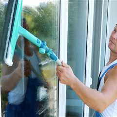 Pane Perfection: Why You Should Invest In A Specialized Window Cleaning Service In Maple Grove, MN..