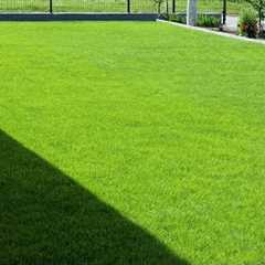 7 Pro Tips for Old and New Lawn Maintenance
