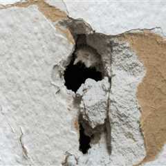 A Comprehensive Guide to Drywall Repair and Texturing