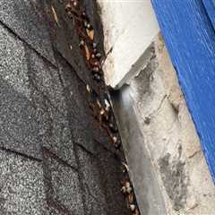 Sealing Gaps and Cracks in the Roof: A Comprehensive Guide to DIY Roof Maintenance