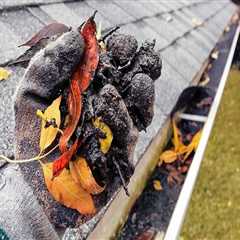 Removing Debris from Gutters and Downspouts: Tips and Tricks for Maintaining Your Roof and Gutters