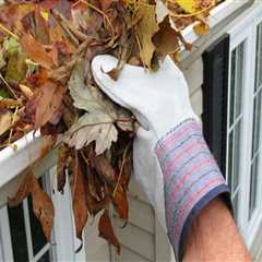 10 Essential Tips for Gutter Cleaning