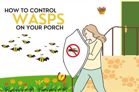 Acton Pest Control: Preventing Wasps From Nesting On Your Porch This Spring