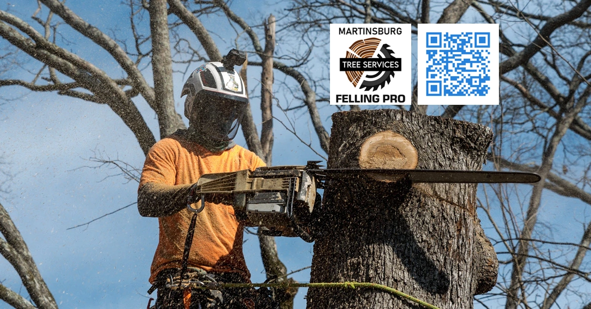 Hedgesville Tree Service - Berkeley Felling Pro