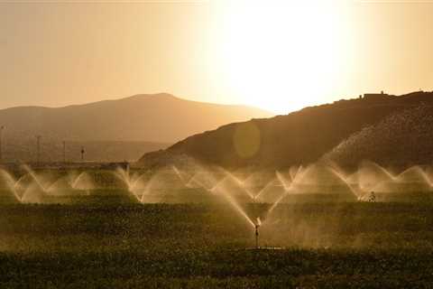 Sprinkler System Winterization: A Game-Changer For Arborists In Northern Virginia