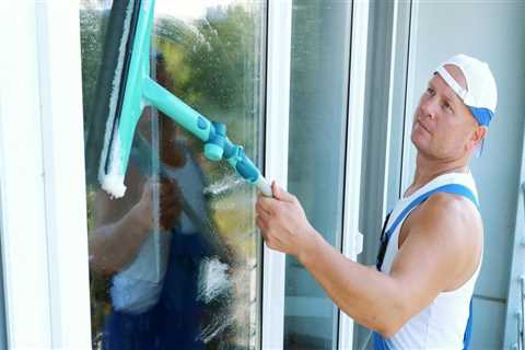 Pane Perfection: Why You Should Invest In A Specialized Window Cleaning Service In Maple Grove, MN..