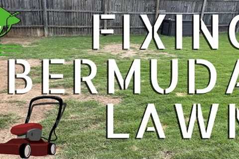 FIXING YOUR LAWN (Bermuda Grass)