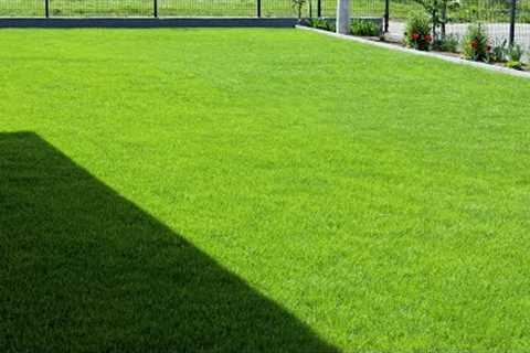 7 Pro Tips for Old and New Lawn Maintenance