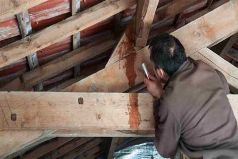 When to Hire a Professional for Roof Repairs: A Complete Guide