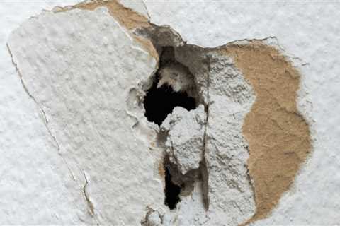 A Comprehensive Guide to Drywall Repair and Texturing