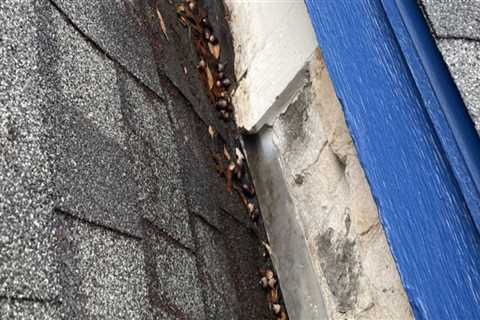 Sealing Gaps and Cracks in the Roof: A Comprehensive Guide to DIY Roof Maintenance