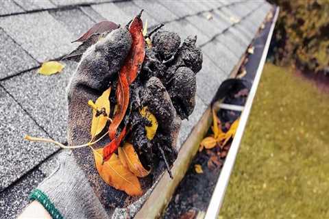 Removing Debris from Gutters and Downspouts: Tips and Tricks for Maintaining Your Roof and Gutters