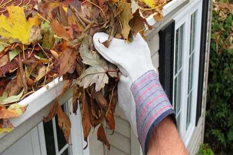 10 Essential Tips for Gutter Cleaning