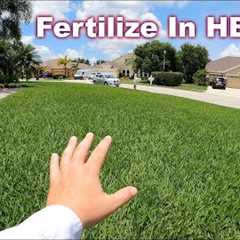 Can You Fertilize The Lawn in Summer and Not Burn It?